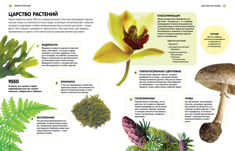 Энциклопедия «Детям обо всём на свете»  